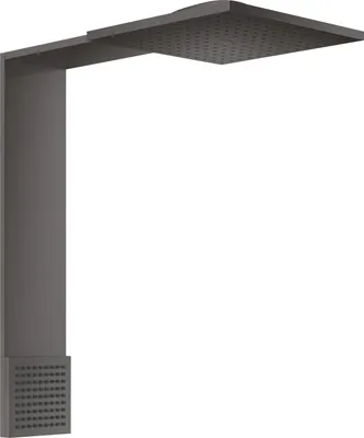 Productafbeelding van AXOR 12594340: Brauselement 250/250, Axor