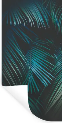 Produktbild von MuchoWow® Wandtattoo Wandsticker Wandaufkleber Palme - Palmenbaum - Tropisch 80x160 cm Selbstklebend und Repositionierbar - Sticker - Dekorfolie