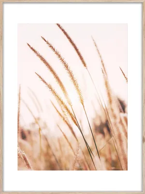 Obrázek produktu pro Plakát "Trávy I", 50x70 cm, Artbox, obraz na zeď, motiv: trávy, příroda, rostliny, botanika, moderní, skandinávský styl, vhodný do obývacího pokoje, ložnice, kanceláře, chodby, dekorace, dárek, umění