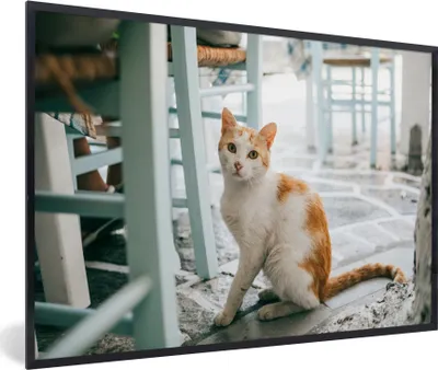 Produktbild von MuchoWow® MuchoWow® Gerahmtes Poster Katze - Stuhl - Boden 90x60 cm - Poster mit zchwarzem Bilderrahmen - Fotorahmen - Foto-Plakat