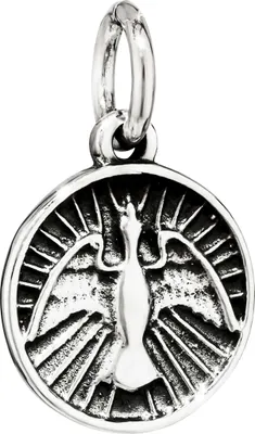 Produktbild von NKlaus Kettenanhänger Friedenstaube Paloma 925 Silber Symbol der Hoffnung und Harmonie 15262