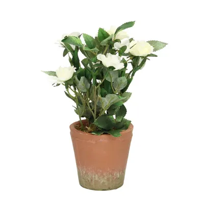 Obrázek produktu pro Dekorace White Rose 24cm