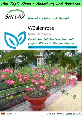 Produktbild von SAFLAX Garden to go - Wüstenrose - Adenium obesum - 8 Samen - Mit Topf, Klima - Deckel und Anzuchtsubstrat