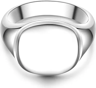Produktbild von Männerglanz Ring Sterling Silber 50210020 68