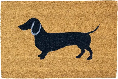 Produktbild von Nicola Spring Kokosfaser-Fußmatte – 60 x 40 cm – Wursthund