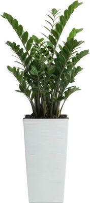 Produktbild von HowHomely | Blumentopf - Pflanzgefäß - weiß - B25x46 cm - Übertopf - Blumenkübel - Rillenstruktur