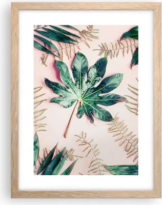 Produktbild von Gerahmtes Poster - Rahmen in heller Eiche - Blatt Tropisch Palme - 30x40 cm - Wand Bild - Wanddeko - Wandbilder - Wandposter - Bilderrahmen - Bilder - Kunstdruck - Wandbild - P2NPA30x40-4314