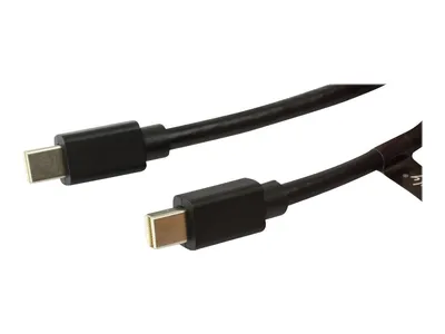 Productafbeelding van Techly DisplayPort-kabel - Mini DisplayPort (mannelijk)