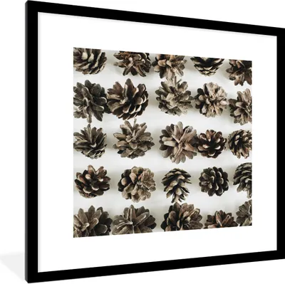 Produktbild von MuchoWow® Gerahmtes Poster Tannenzapfen - Winter - Weiß 40x40 cm - Poster mit Schwarzem Bilderrahmen Wandposter Rahmen Foto Bilder - Poster - Plakat im Rahmen