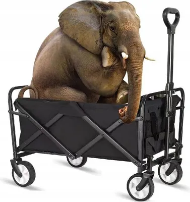 Image de TRAFFIC CARRIER 5 pouces roues PLASTER TOURIST SHOPPING TRANSPORT Remorque XXL