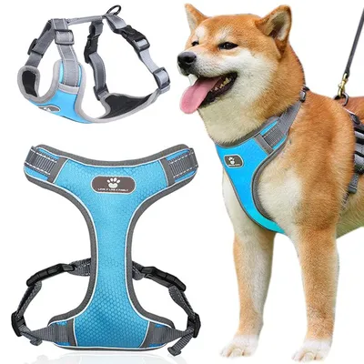 Immagine prodotto di Pettorina per cani Astro L blu