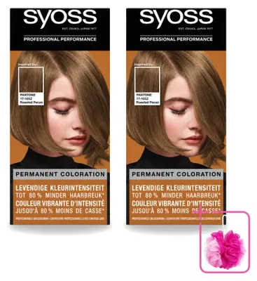 Obrázok produktu pre 2 ks farby na vlasy Syoss Pantone 6-66 Roasted Pecan – balenie s 2 kusmi