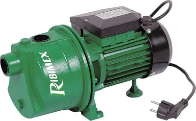 Immagine prodotto di Pompa di superficie autoadescante da 600w Ribiland PRJET61