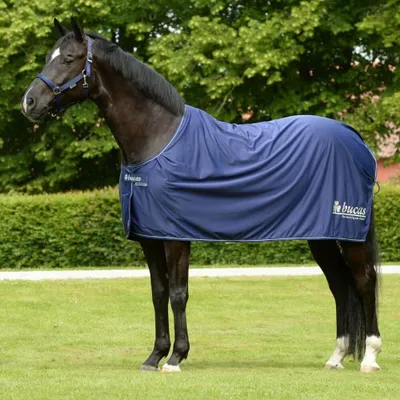 Produktbild von Bucas Abschwitzdecke Prize Cooler Navy 155
