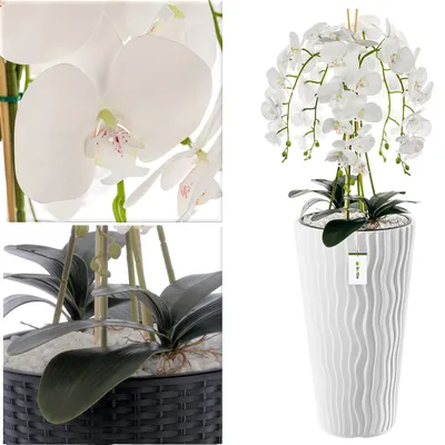 Image de Fleur artificielle, bouquet d'orchidées, vase décoratif, BLANC