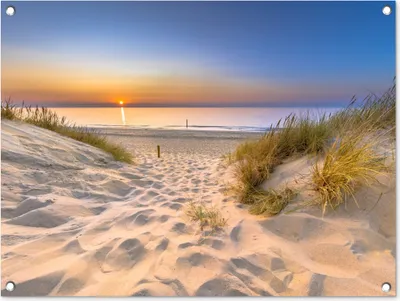 Produktbild von MuchoWow® 80x60 cm Outdoor-Poster Gartendeko Sichtschutz Garten Poster für den Garten Düne - Sonnenuntergang - Horizont - Strand - Gras
