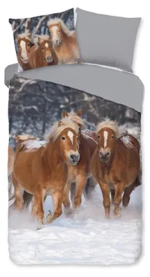Imagen del producto de Muller Textiles 2691.99.28. Incluye una manta y una funda de cojín
