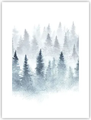 Produktbild von Poster - Poster ohne Rahmen - Bäume Wald Natur - 30x40 cm - Wand Bild - Wanddeko - Wandbilder - Kunstposter - Wandposter - Bilder - Kunstdruck - Wanddekoration - Wandbild - P2XPA30x40-3981