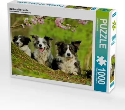 Produktbild von Calvendo Bordercollie Familie 1000 Teile Puzzle quer 640x480mm, Köntopp Kathrin; 7403329