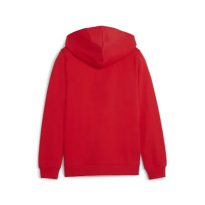 Produktbild von Puma Teamgoal Hooded Sweat Full Zip Kinder - Rot