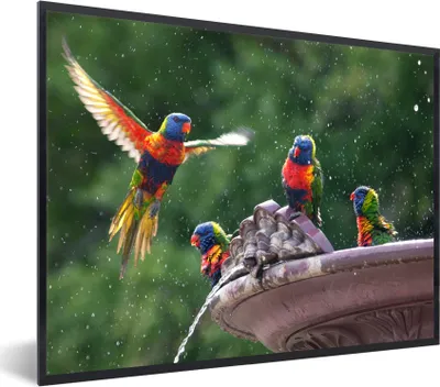 Produktbild von MuchoWow® MuchoWow® Gerahmtes Poster Springbrunnen - Vogel - Wasser 80x60 cm - Poster mit zchwarzem Bilderrahmen - Schwarzem - Mit Gestell