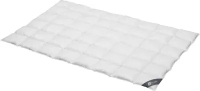 Produktbild von Daunendecke 155x220 cm 100 % Gänsedaunen Medium  Bettdecke Steppdecke Daunen SPESSARTTRAUM PLATIN