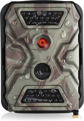 Image de Caméra de surveillance pour animaux sauvages - Caméra de surveillance pour animaux sauvages avec vision nocturne - Caméra d'extérieur - Caméra de surveillance pour animaux sauvages avec vision nocturne