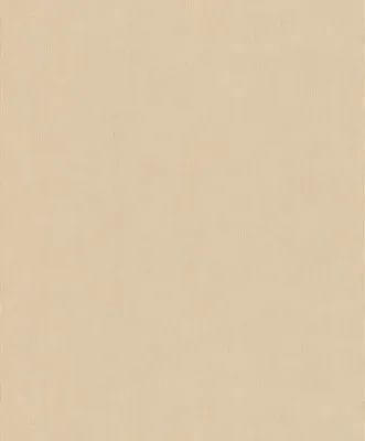Produktbild von Vliestapete 521467 Concrete Uni beige