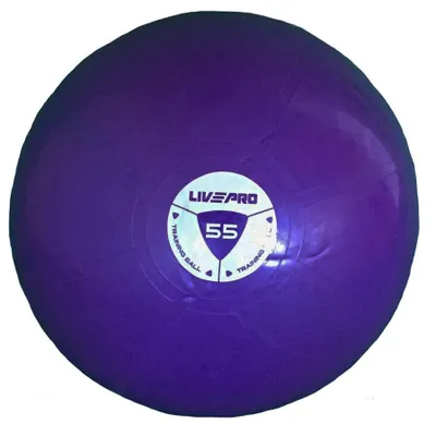 Produktbild von Livepro Studio Fit Gymnastikball 55 cm 55