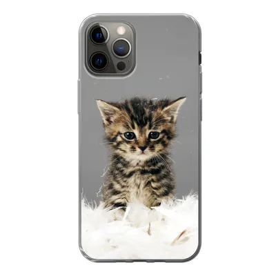 Produktbild von MuchoWow® Handyhülle Schutzhülle Hülle für iPhone 13 Pro Katze - Kätzchen - Federn Silikon Softcase Handy Hülle - Handy-Tasche