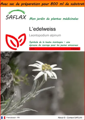 Image de SAFLAX Garden in the bag - L’edelweiss - 500 graines - Leontopodium