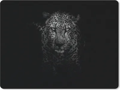 Produktbild von MuchoWow® Mauspad Mousepad Leopard - Schwarz - Weiß 23x19 cm - Mousepads - Maus Mat - Pad - Mausunterlage - Schreibtischunterlage - Mauspad
