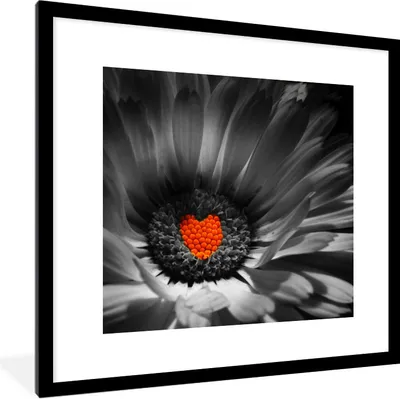 Produktbild von MuchoWow® Gerahmtes Poster Schwarz-Weiß-Foto einer Ringelblume mit einem roten Herz 40x40 cm - Poster mit Schwarzem Bilderrahmen Wandposter Rahmen Foto Bilder - Poster - Plakat im Rahmen