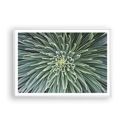 Produktbild von Gerahmtes Poster - Weißer Rahmen - Agave Grün Pflanze - 100x70 cm - Wand Bild - Wanddeko - Wandbilder - Kunstposter - Wandposter - Bilderrahmen - Bilder - Kunstdruck - P2WAA100x70-4905
