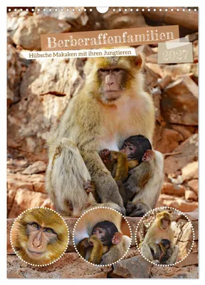 Produktbild von Berberaffenfamilien (Wandkalender 2027 DIN A3 hoch), CALVENDO Monatskalender