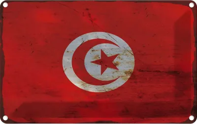 Zdjęcie produktu dla vianmo Blaszany znak 12x18 cm Tunesien Flag of Tunisia Rost