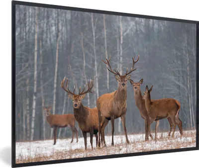 Produktbild von MuchoWow® MuchoWow® Gerahmtes Poster Hirsche - Wald - Winter 60x40 cm - Poster mit zchwarzem Bilderrahmen - Printing - Wanddeko Schlafzimmer