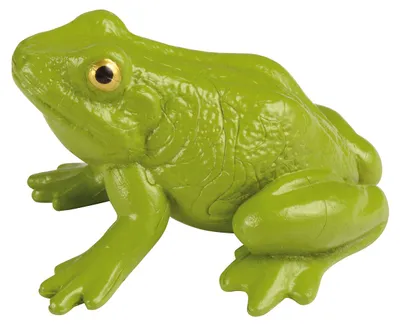 Produktbild von Eduplay Spielzeug Frosch Lebenszyklus Set - Lernmodell aus Kunststoff