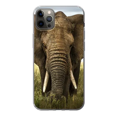 Produktbild von MuchoWow® Handyhülle Schutzhülle Hülle für iPhone 13 Pro Max Elefant - Natur - Gras - Tiere - Landschaft Silikon Softcase Handy Hülle - Mobiltelefon