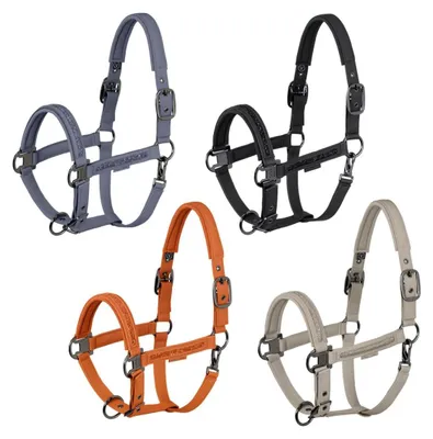 Produktbild von Eskadron Platinum Halfter " FAUX LEATHER JEWEL DOUBLE PIN ", Stallhalfter, Lederhalfter Größe - Warmblut Farbe - black