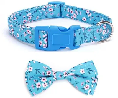 Image de Collier pour petits et moyens chiens - Bleu clair - Différentes tailles