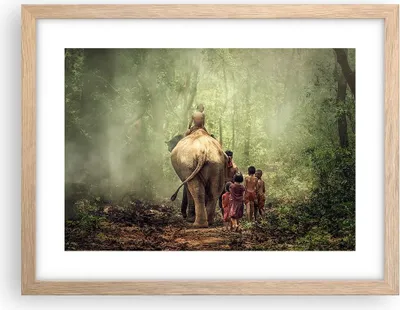 Produktbild von Gerahmtes Poster - Rahmen in heller Eiche - Elefant Dschungel Nebel - 40x30 cm - Wand Bild - Wanddeko - Wandbilder - Wandposter - Bilderrahmen - Bilder - Kunstdruck - Wandbild - P2NAA40x30-3438