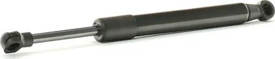 Produktbild von RIDEX 219G0907 Gasfeder Heckklappendämpfer passend für MERCEDES-BENZ CLK Cabriolet (A209) 256mm