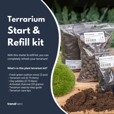 Produktbild von Pflanzenterrarium – Nachfüllset – Starterset – DIY – Größe S/M