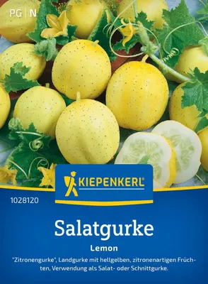 Produktbild von Kiepenkerl Salatgurkensamen Lemon Cucumis sativus 15 Pflanzen