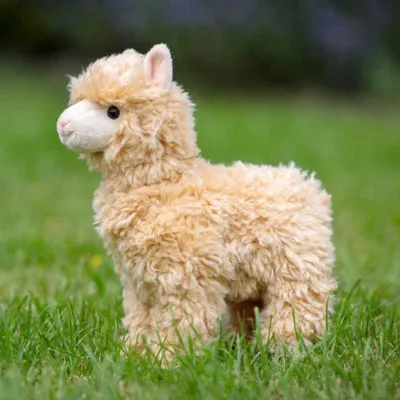 Immagine prodotto di Peluche Llama Animigos