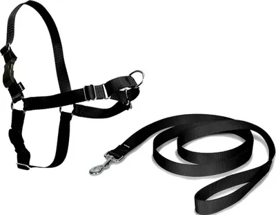 Produktbild von Nayeco Easy Walk Hundegeschirr Schwarz L Schwarz L