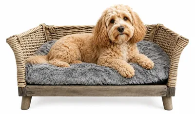 Produktbild von Hundebett aus Weiden mit waschbarem Kissen 90x55x35 cm