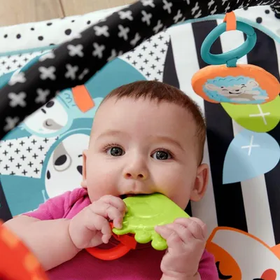 Zdjęcie produktu dla Fisher-Price HBP41, Siłownia dla niemowląt, Drążek na zabawki, Brzmienie, Tkanina, Plastik, Wielobarwny