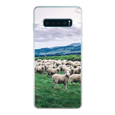 Produktbild von MuchoWow® Handyhülle Schutzhülle Hülle für Samsung Galaxy S10 Plus Schafe - Natur - Gras Silikon Softcase Handy Hülle - Schutzhülle